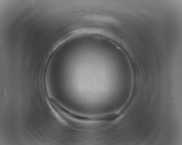 X0000083601521200702091206