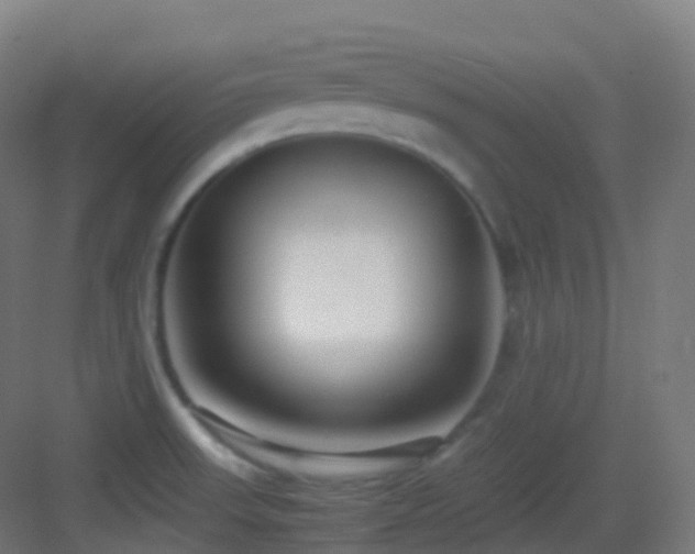 X0000083601523200702091206