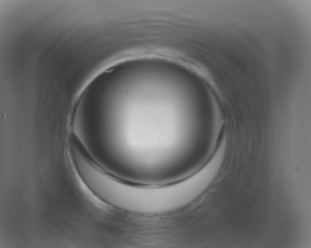 X0000083601524200702091206