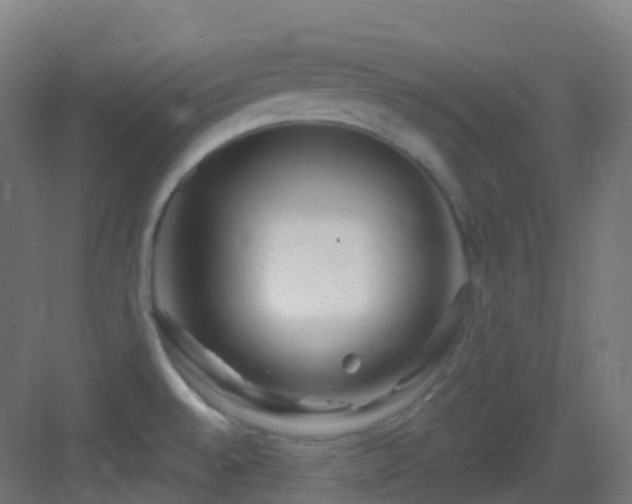 X0000083601528200702091206