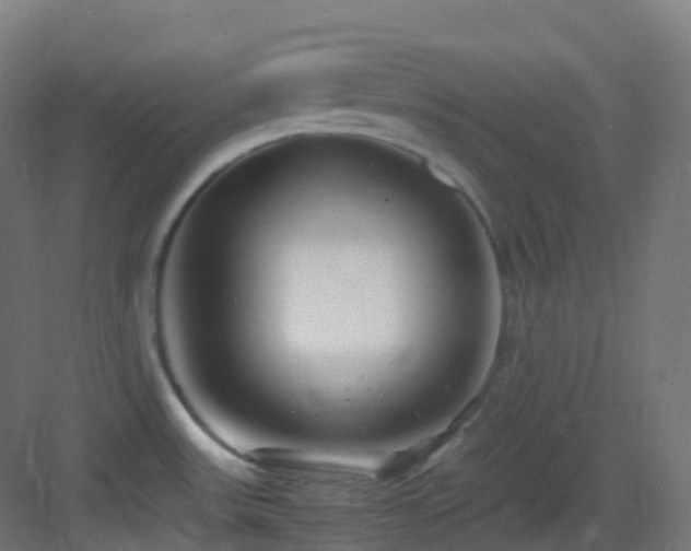 X0000083601531200702091206
