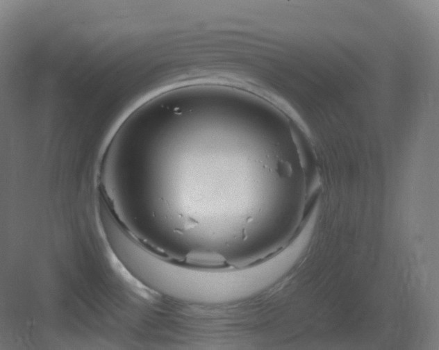 X0000083601532200702091206