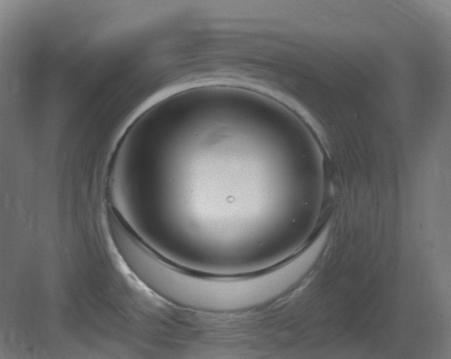 X0000083601534200702091206