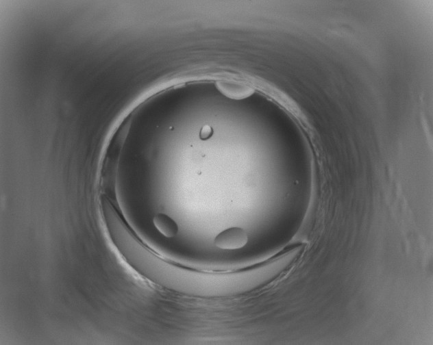 X0000083601536200702091206