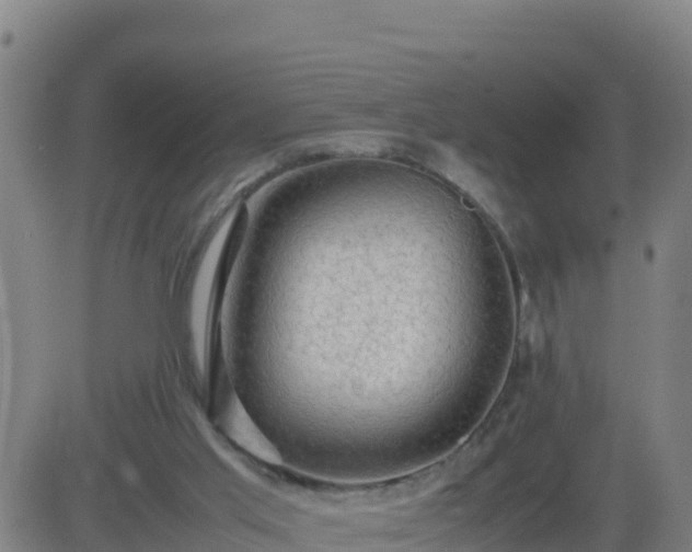 X0000083600013200702162220