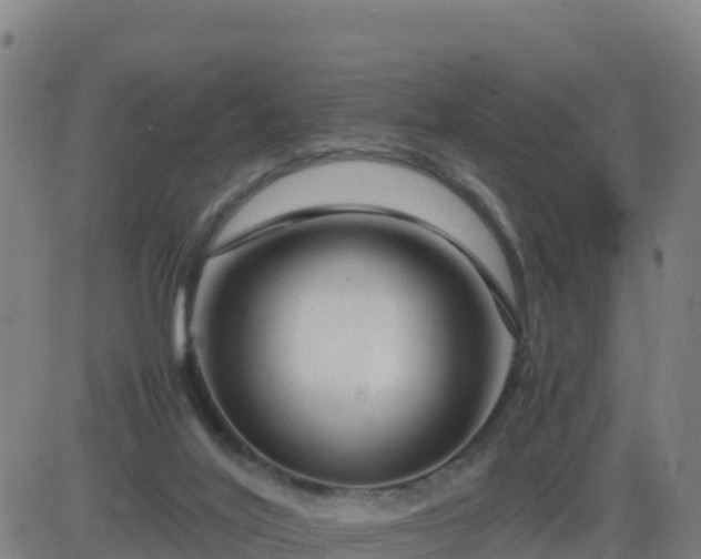 X0000083600020200702162220