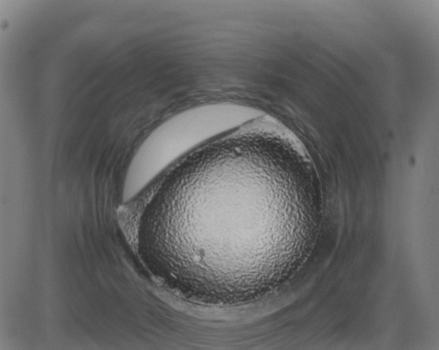 X0000083600030200702162220
