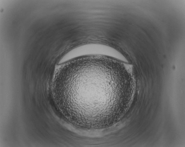 X0000083600032200702162220