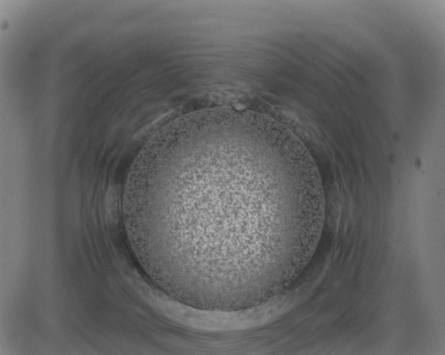 X0000083600034200702162220