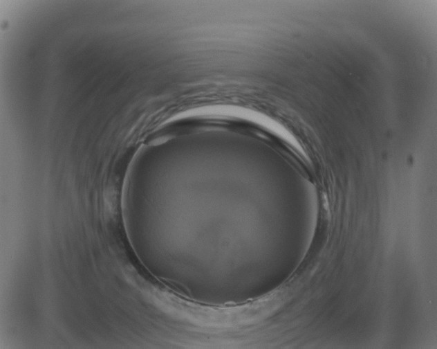 X0000083600035200702162220