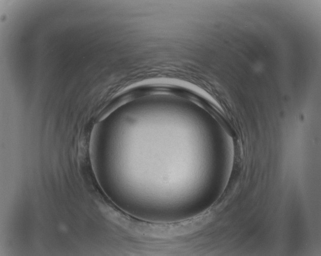 X0000083600037200702162219