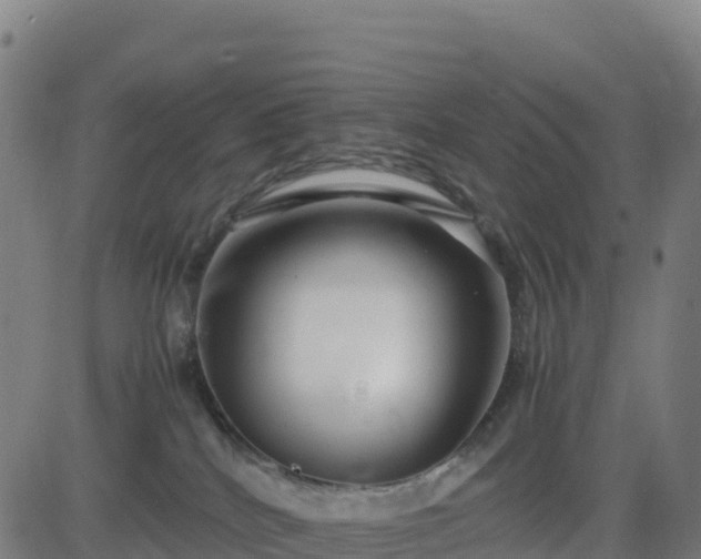 X0000083600040200702162219