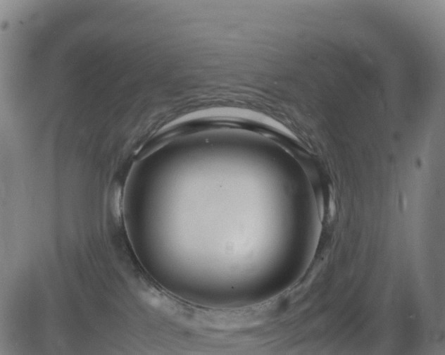 X0000083600041200702162219