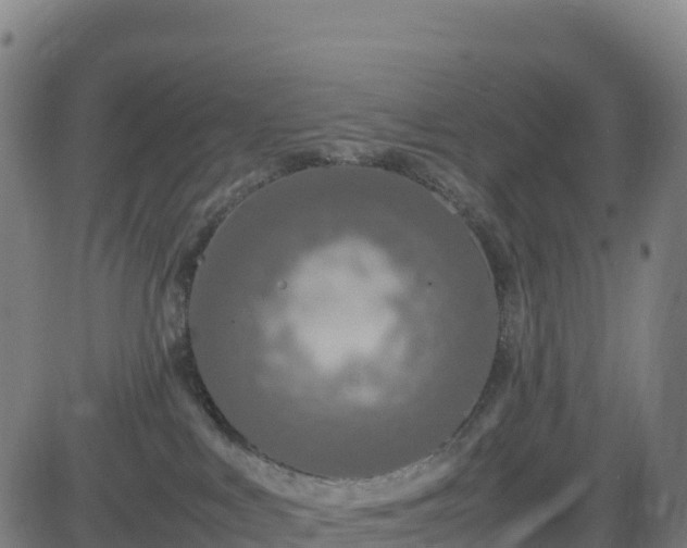 X0000083600043200702162219