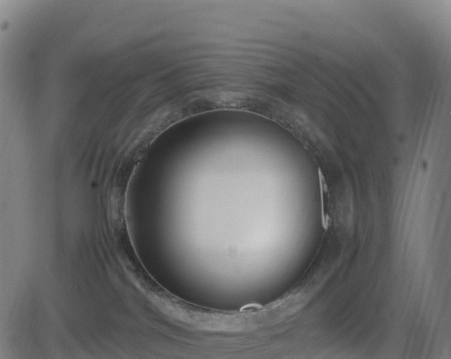 X0000083600044200702162219