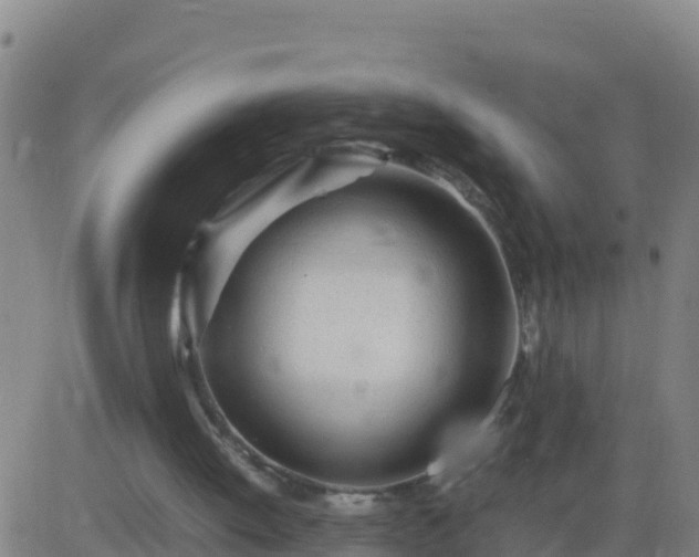 X0000083600052200702162219