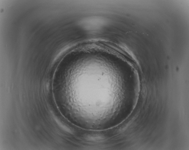 X0000083600063200702162219
