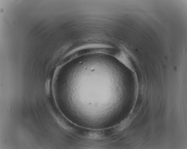 X0000083600070200702162219