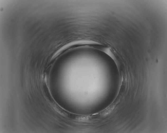 X0000083600084200702162219