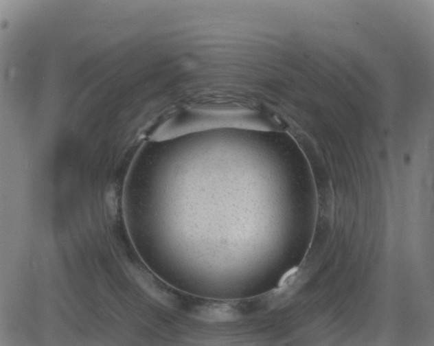 X0000083600086200702162219