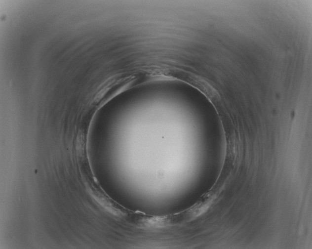 X0000083600092200702162219