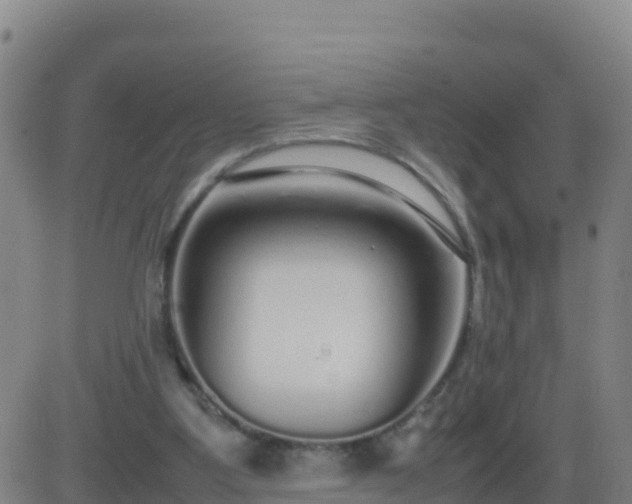 X0000083600107200702162218