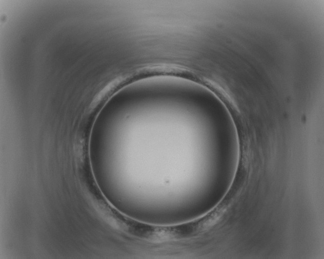 X0000083600111200702162218