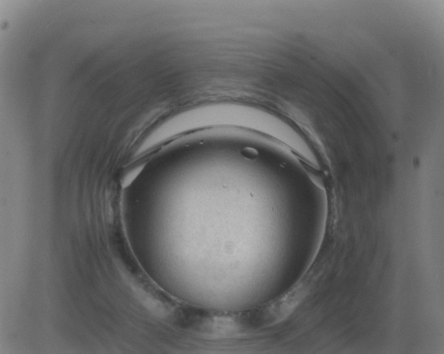 X0000083600114200702162218