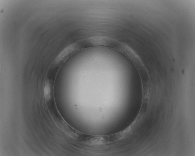 X0000083600124200702162218