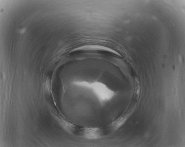 X0000083600143200702162218