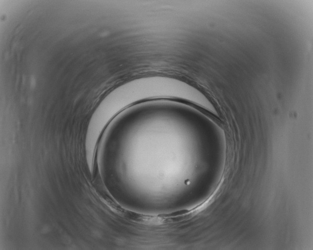 X0000083600144200702162218