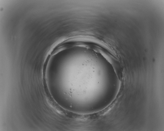 X0000083600148200702162217
