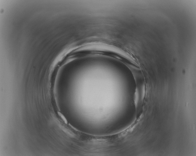 X0000083600150200702162217
