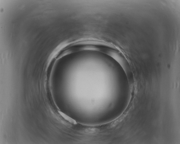 X0000083600152200702162217