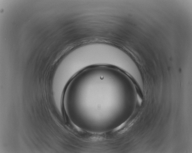 X0000083600158200702162217
