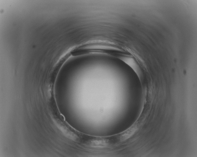 X0000083600160200702162217