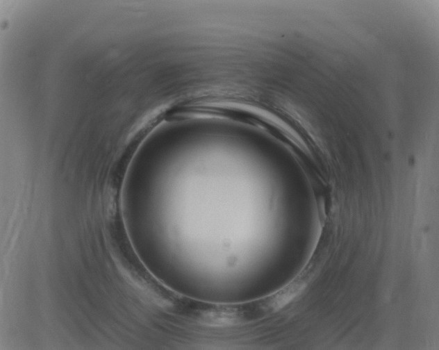 X0000083600164200702162217