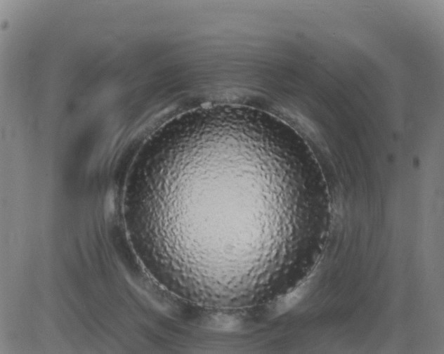 X0000083600166200702162217