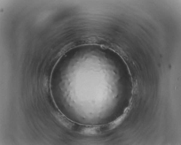 X0000083600178200702162217