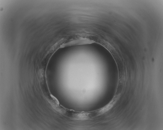 X0000083600184200702162218