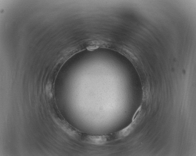 X0000083600187200702162218