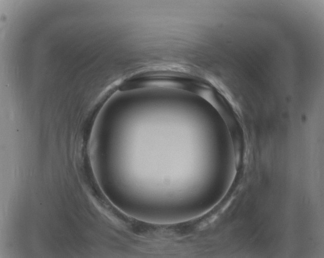 X0000083600201200702162217