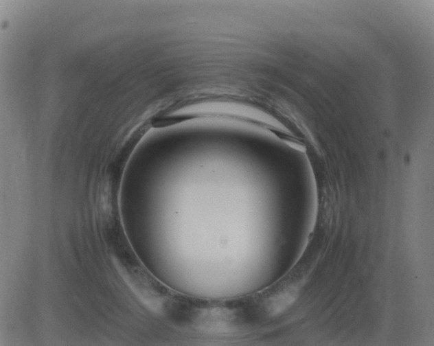 X0000083600212200702162217