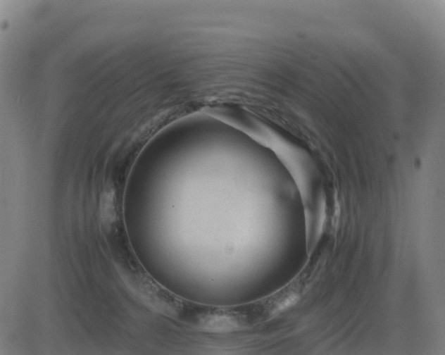 X0000083600224200702162216