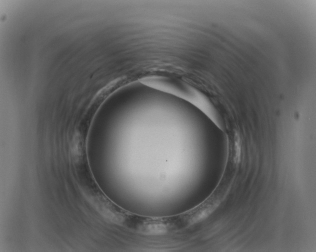 X0000083600228200702162216