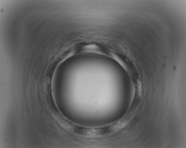 X0000083600229200702162216