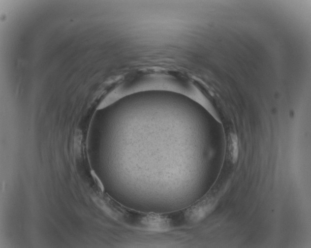 X0000083600231200702162216