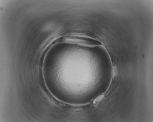 X0000083600243200702162215