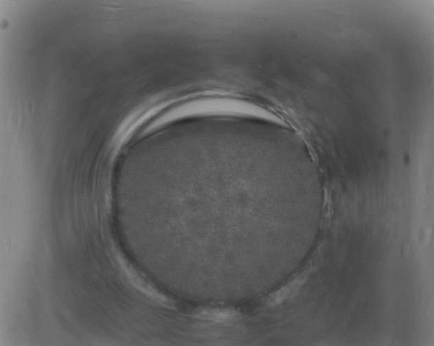 X0000083600247200702162215