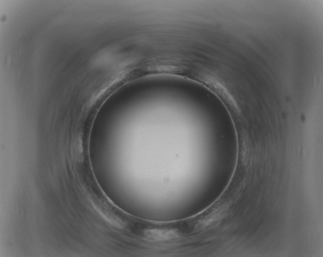 X0000083600251200702162216
